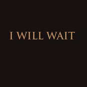 I Will Wait - Single (Mumford & Sons Tribute)