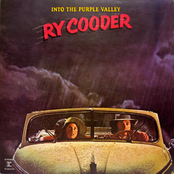 Vigilante Man by Ry Cooder