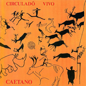 Quando Eu Penso Na Bahia by Caetano Veloso