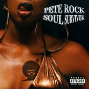 Pete Rock: Soul Survivor