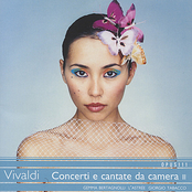 Concerti e cantate da camera ii