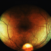 Loneliness the Astronaut: Made in Silence