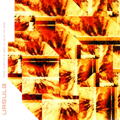 Todo vuelve a ser lo que no era