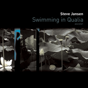 Swimming In Qualia (Ascent)