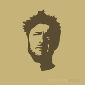 Joey Cape: Bridge