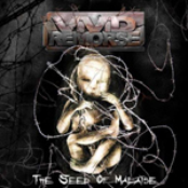 Slave Of Freedom by Vivid Remorse