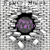 Punk Floyd