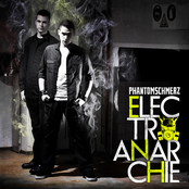 Electroanarchie