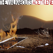 Devil In The Details by The Walkabouts