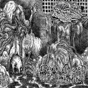 Sewer Clogged With Human Mush