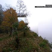 . / / ​repeated_grey_fields