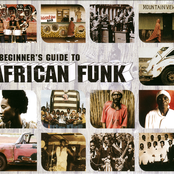 Beginner's Guide To African Funk