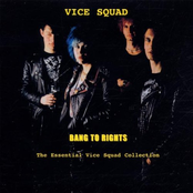 Where Are They All Now ? by Vice Squad
