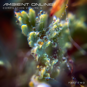 Ambient Online Compilation: Volume 9 (Part Two)