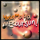 Yaşamaya Mecbursun