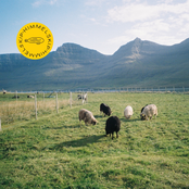 Den siste kvegdriver