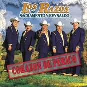 Corazon De Perico