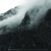 The Light That Dwells in Rotten Wood