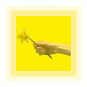 Rosemother: Daffodils