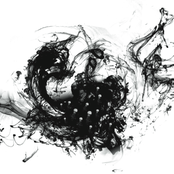 Web Release June 2009