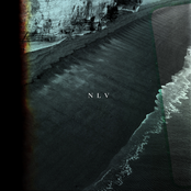 Nlv - Single