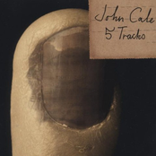 Wilderness Approaching by John Cale