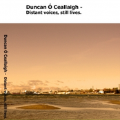 distant voices, still lives EP