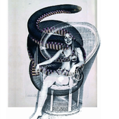 Scram C Baby tribute album