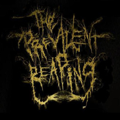 The Prevalent Reaping EP