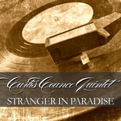 Stranger in Paradise