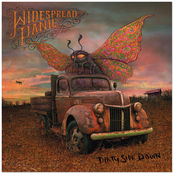 Visiting Day by Widespread Panic