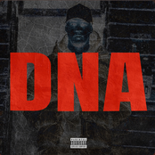 DNA