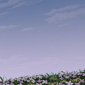 vgm flips [2020-2021]