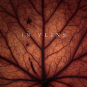 In veins