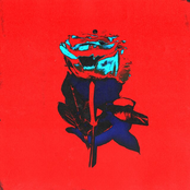 Wie du den Tag zurückdrehst