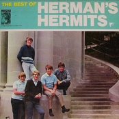 My Lady by Herman's Hermits