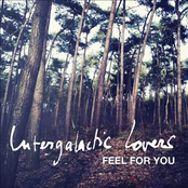 Feel For You by Intergalactic Lovers