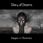 A Day In December by Diary Of Dreams