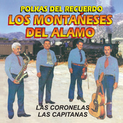 20 Exitos de los Montañeses del Alamo