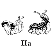 IIa
