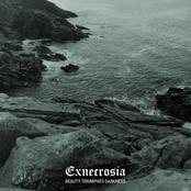 Beauty Triumphes Darkness