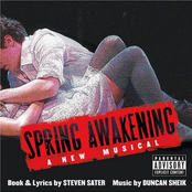 Duncan Sheik: Spring Awakening