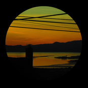 monsters & playgirls