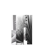 "Scourge in the Spring"