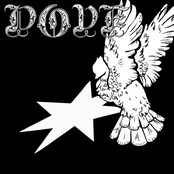 Dove