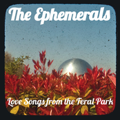 the ephemerals