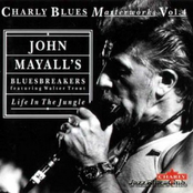 Fascinating Lover by John Mayall