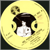 nel parco deiciliegi