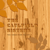 I See Your Face by The Caulfield Sisters