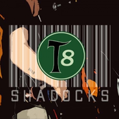 T8